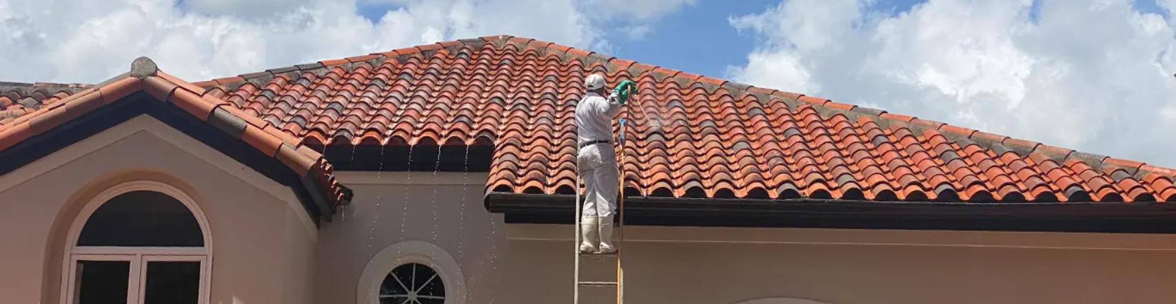 Roof Cleaning Services in Orlando, FL