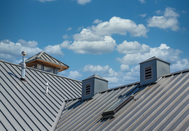 Metal House roof